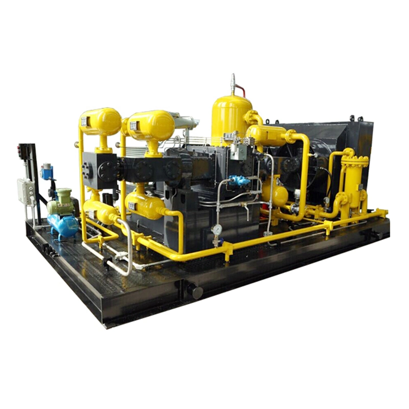 Reciprocating High Pressure D Type Natural Gas Compressor for CNG Filling Station