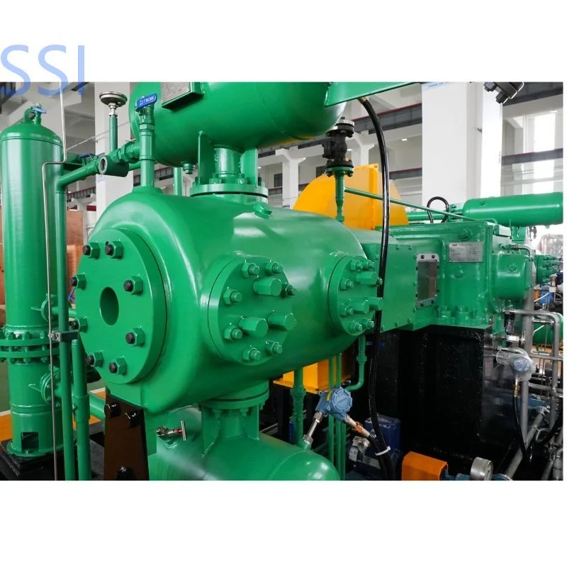 Piston Displacement Reciprocating Diaphragm H2 Gas Compressor for Hydrogen Filling Station