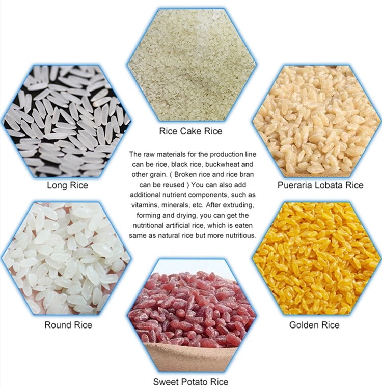 Vitamin Reconstituted Nutrition Frk Rice Making Processing Equipment