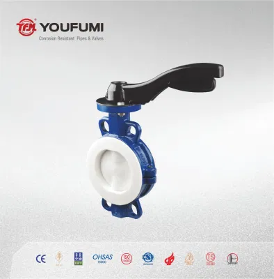 Wcb Lined PTFE Butterfly Valve Manual Operator