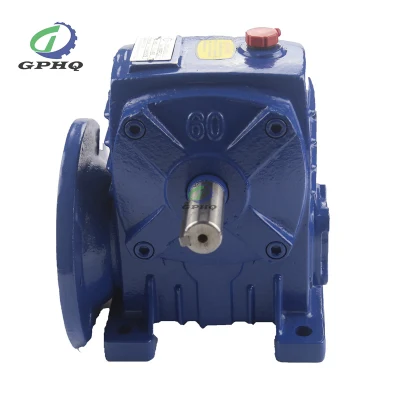 Wpa200 Cast Iron Worm Gearbox