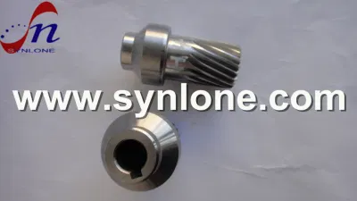CNC Machining Auto Spare Parts Stainless Steel Worm Shaft Gears