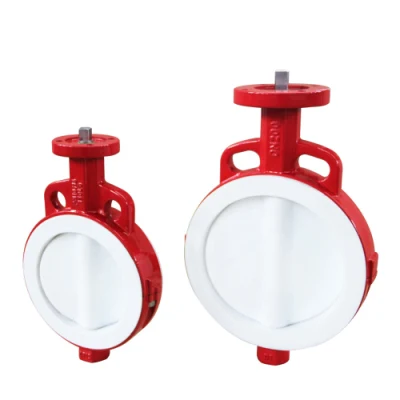 Worm Gear/Wrench Operated Rubber Coating Disc Wafer Butterfly Valve with Lcc Lcb Lca Wcb Body