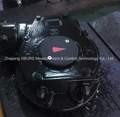 Quarter-Turn Worm Gearbox
