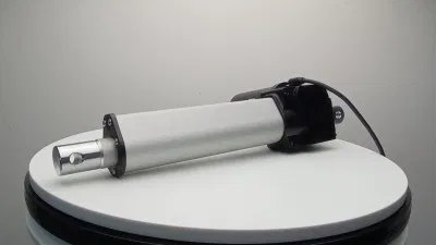 12-48V 50-600 mm 6000n IP65 Waterproof Worm Gear Linear Actuator