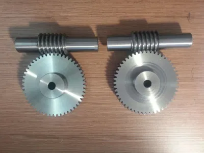 Worm Gear Steel Stainless Steel Worm Gear