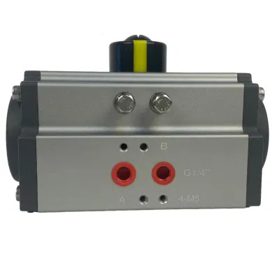 0-90 Degree Hard Oxidation Rotary Pneumatic Valve Actuator