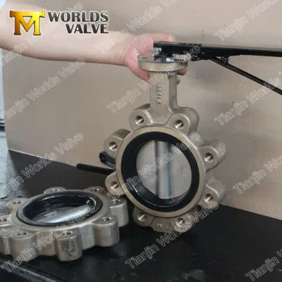 Al-Bronze Lug Butterfly Valve C95400 C95800 Body and Disc for Sea Water Vessel Marine Valves