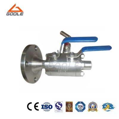F-NPT/Flanged A105/F304/F316/F51/F55 Double Block and Bleed Lever Operated /Gear Operated Floating / Trunnion Dbb Ball Valve
