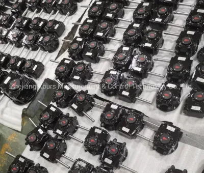 Xhw10 Valve Operator