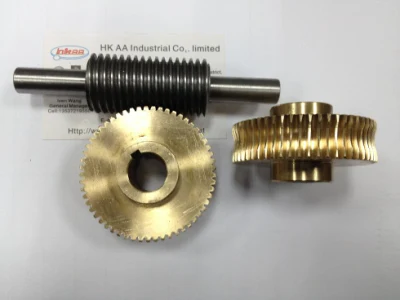 Precision Anti-Backlash Stainless Steel Worm Gear and Bronze Worms