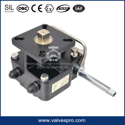 Fine Appearance Pneumatic Actuator Worm Gear Manual Override with High Quality