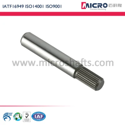 ISO Certified Heat Treated CNC Machined Micro Worm Gear Shaft for Fan Motors, Respirators, Medical Beds and Dental Tools