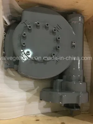 Xwsg Series Quart-Turn Wormgear Valve Operator