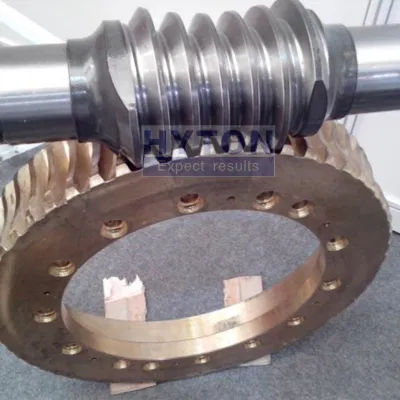 Worm Gear Reduce Speed Increase Torque Double-Throated Corrosion Resistant