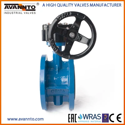 Double Flange Butterfly Valve with Gearbox Pn6/Pn10/Pn16