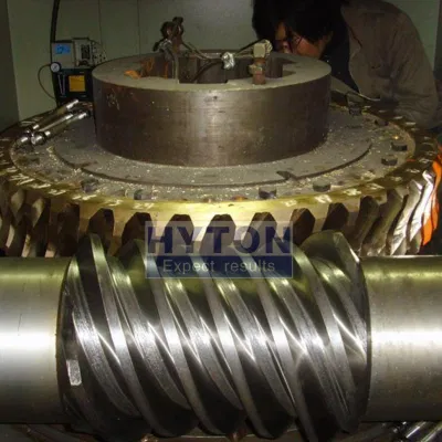 Worm Gear Reduce Speed Increase Torque Double-Throated Corrosion Resistant