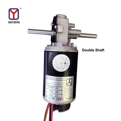 Juicer Worm Motor 24V High Torque DC Gear Motor 100 Rpm Dual Shaft