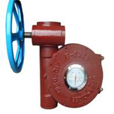 Worm Gear Operators for Valve