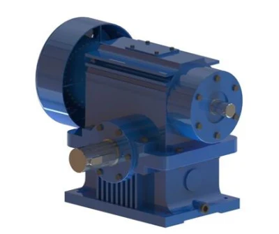 Transmission Worm Gear Series Double Enveloping Worm Gear and Shaft