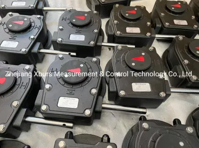 Xhw20 Gear Operator Valve