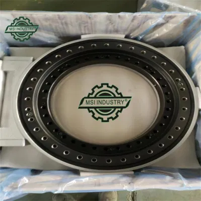 Professional Slewing Bearing Yaw Bearing Slewing Drives Worm Drive