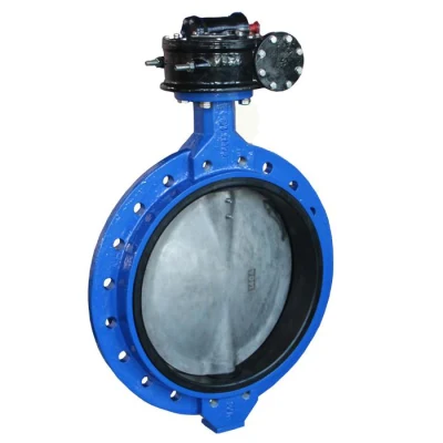 Ggg40 Ggg50 A536 A395 Single Flanged Wafer Type Butterfly Valves with Handheld Gearbox Operator