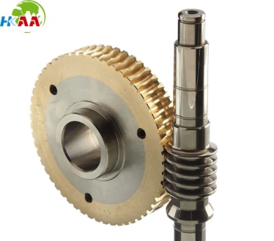 Precision Anti-Backlash Stainless Steel Worm Gear and Bronze Worms