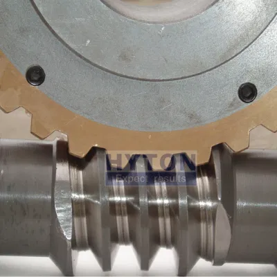 Worm Gear Reduce Speed Increase Torque Double-Throated Corrosion Resistant