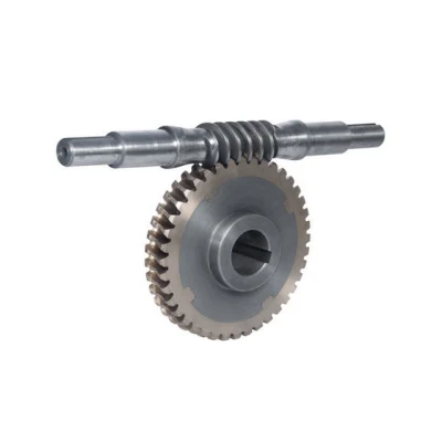 Worm Wheel and Worm Shaft Pinion Wheel Shaft Stainless Steel Makishinko Double Thread Enveloping Multi Start Manual Duplex Worm Wheel and Worm Shaft