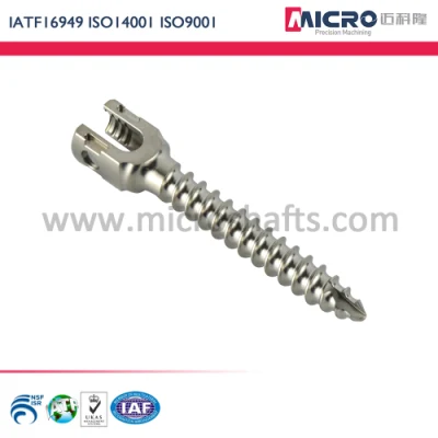 ISO Certified Heat Treated CNC Machined Micro Worm Gear Shaft for Fan Motors, Respirators, Medical Beds and Dental Tools