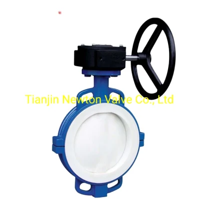 Worm Gear/Wrench Operated Rubber Coating Disc Wafer Butterfly Valve with Lcc Lcb Lca Wcb Body