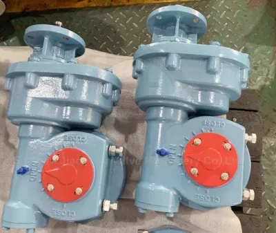 Electric Type Part-Turn Valve Worm Gear Operator