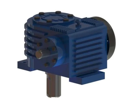 Transmission Worm Gear Series Double Enveloping Worm Gear and Shaft
