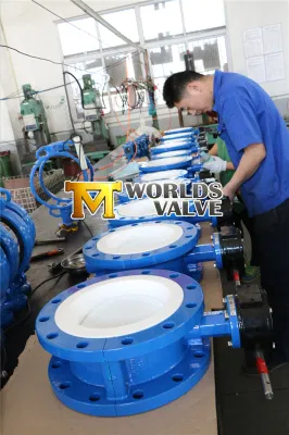 PTFE Liner Double Flanged Butterfly Valve C/W Worm Gear/Iorn Lever/Aluminum Lever/Electric/Pneumatic Actuator