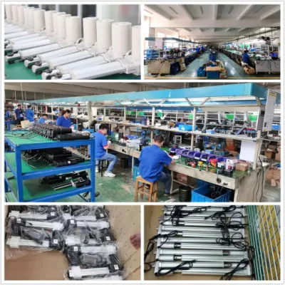 Lunyee 600mm Stroke Customized 2000n IP65 Quiet Worm Drive Electric 12V 24V DC Motor Linear Actuator for Industrial Equipment