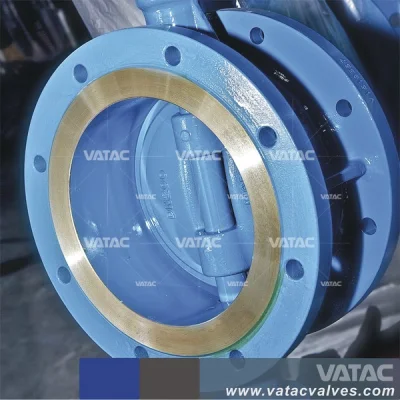 Double-Offset Double Flanged Carbon Steel Butterfly Valve C/W Gear Operator