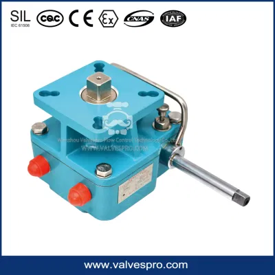 Declutchable Manual Overrides with Lock Device for Pneumatic Actuator