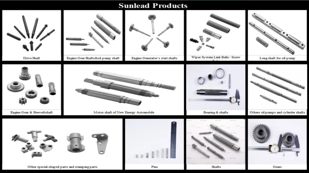 Precision Part CNC Customized Stainless Steel Milling Worm Gear 15-30 Teeth Gear for Machinery