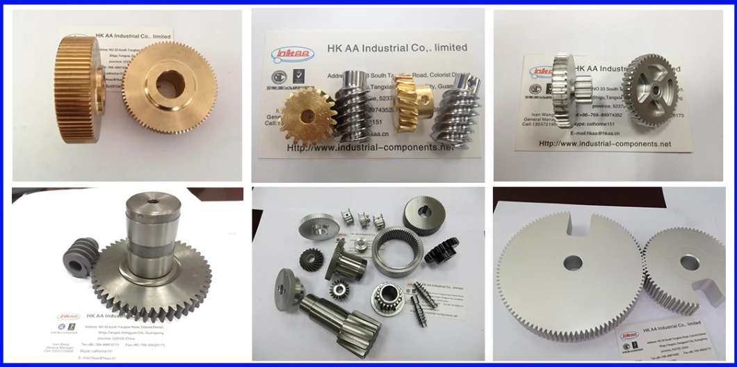 Widely Used High Precision Custom Worm Wheel Gear &amp; Worm Gear Shaft