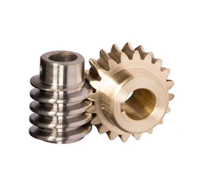 Custom Worm Gear Curved Hard Tooth Surface Stainless Steel Worm Gear