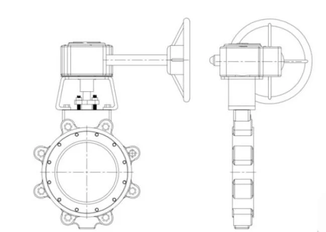 Wcb Body Gear Operated Butterfly Valve