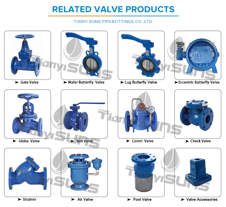 DIN Standard DN250 Pn16 Ductile Cast Iron Di Butterfly Valve Gear Operated