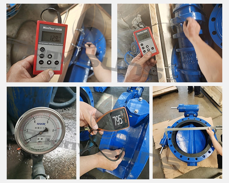 DIN Standard DN250 Pn16 Ductile Cast Iron Di Butterfly Valve Gear Operated