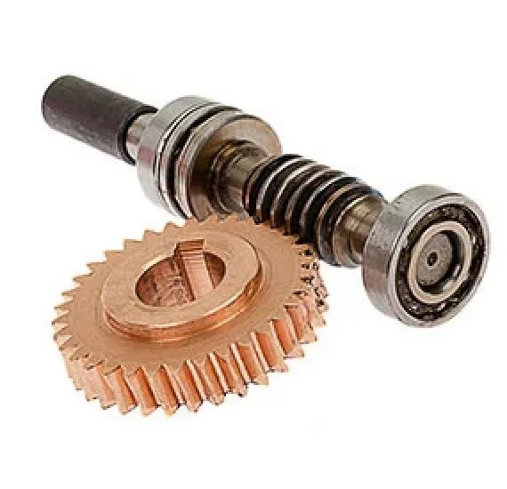 Custom Worm Gear Curved Hard Tooth Surface Stainless Steel Worm Gear