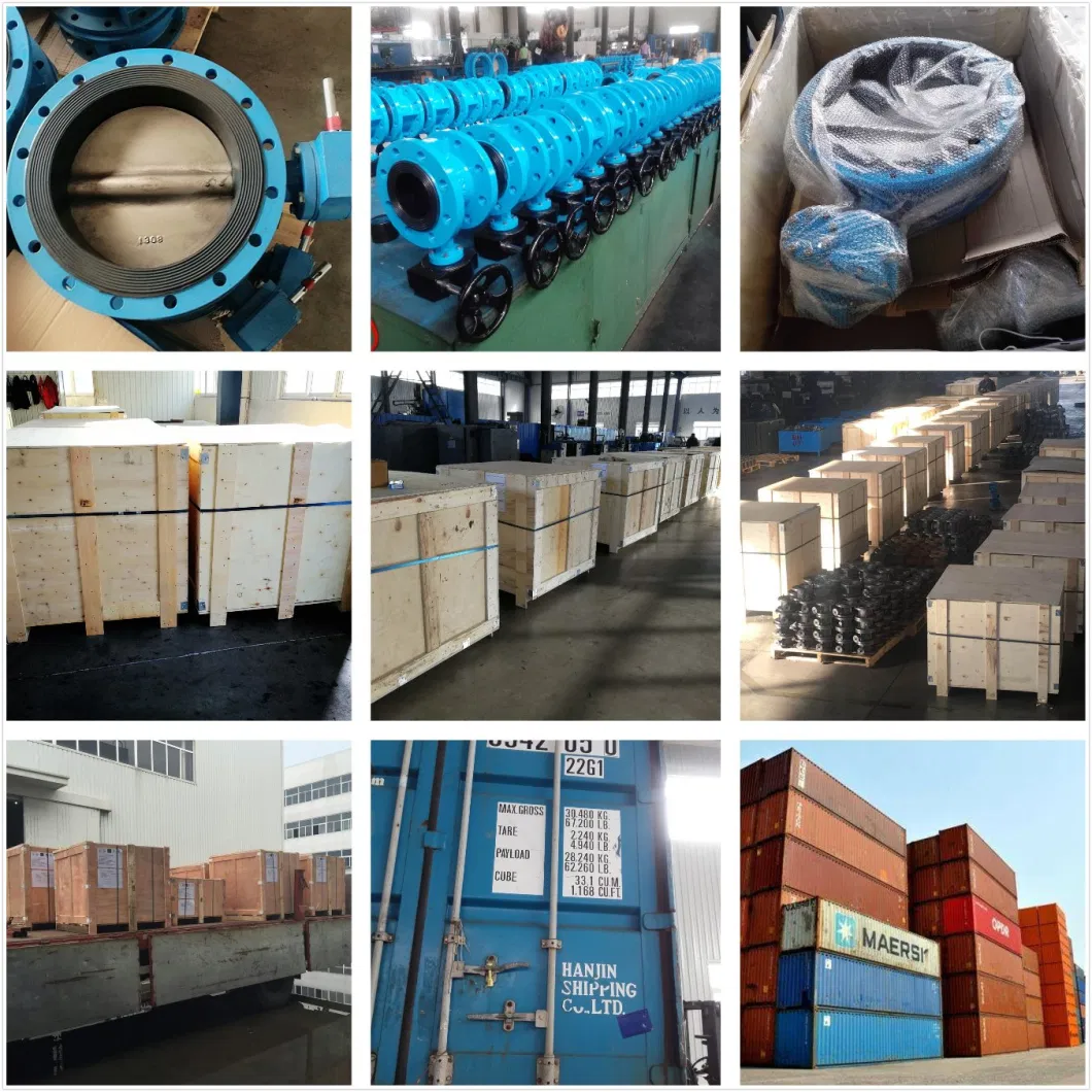 Worm Gear Operated Flang Type Butterfly Valve Industrial Control Valve API