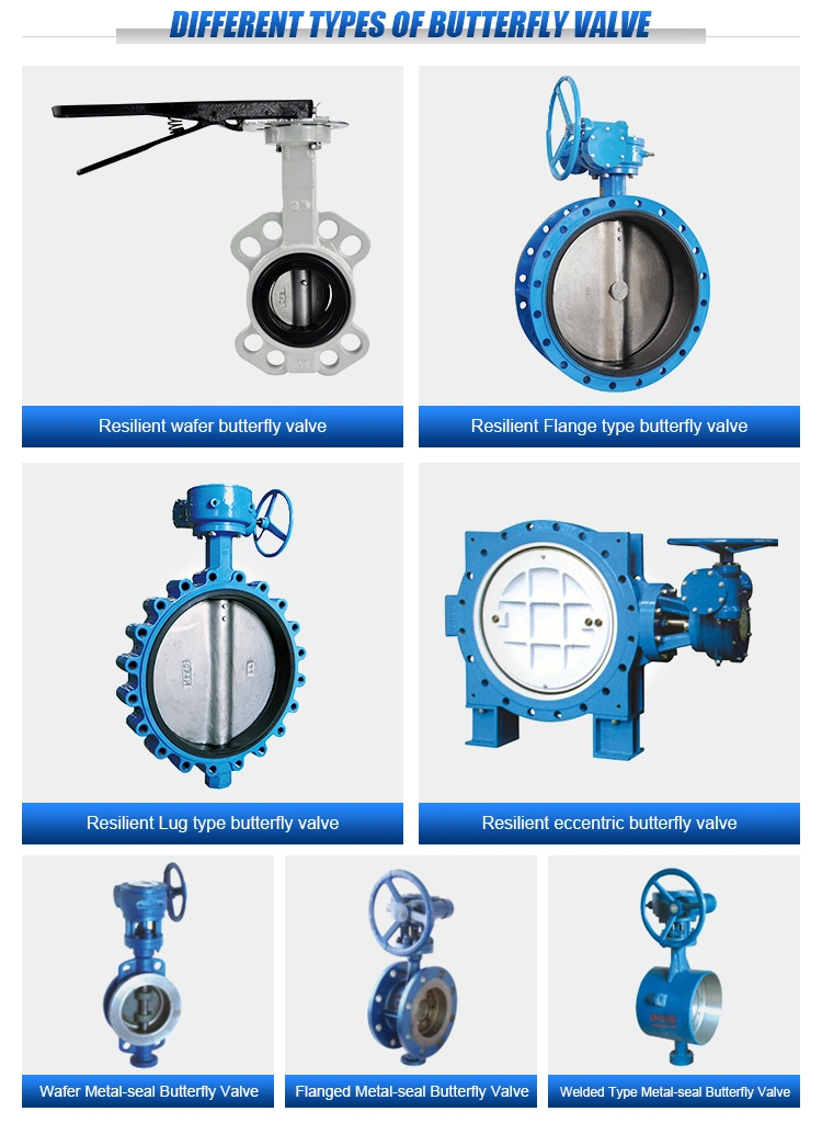 Made in China Soft Sealing Pn16 DN50 High Performance Cast Iron Stainless Steel CF8 CF8m Wcb Disc Ss 316 Manual Gearbox EPDM Seat Wafer Type Butterfly Valve