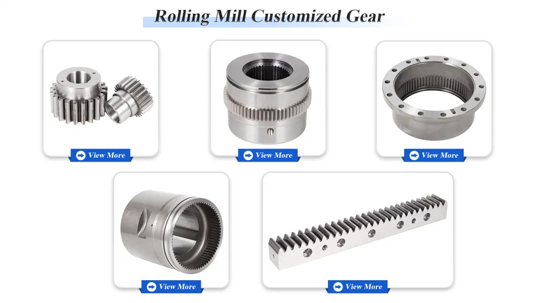 High Precision Customized Worm and Pinion Gears Stainless Steel Worm Gear