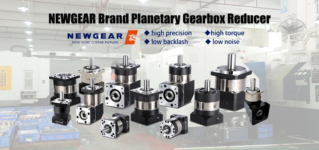 China Supply Hot Sale Newgear High Torque Planetary Reducer Gearbox