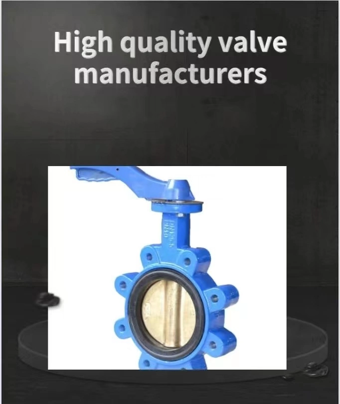 Lug Type Butterfly Valve Wth Worm Gearbox